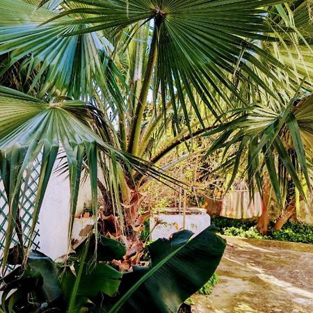 Cozy 3 Bedroom Home - Close To Beach Lourinhã Buitenkant foto
