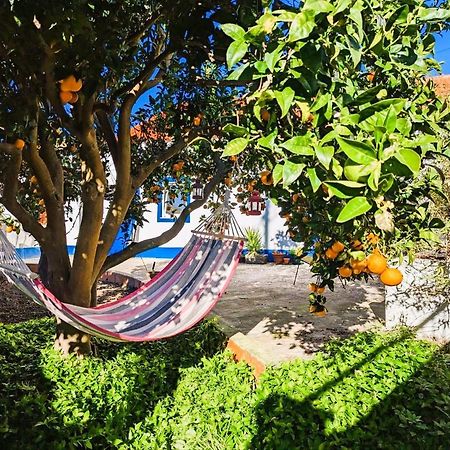 Cozy 3 Bedroom Home - Close To Beach Lourinhã Buitenkant foto
